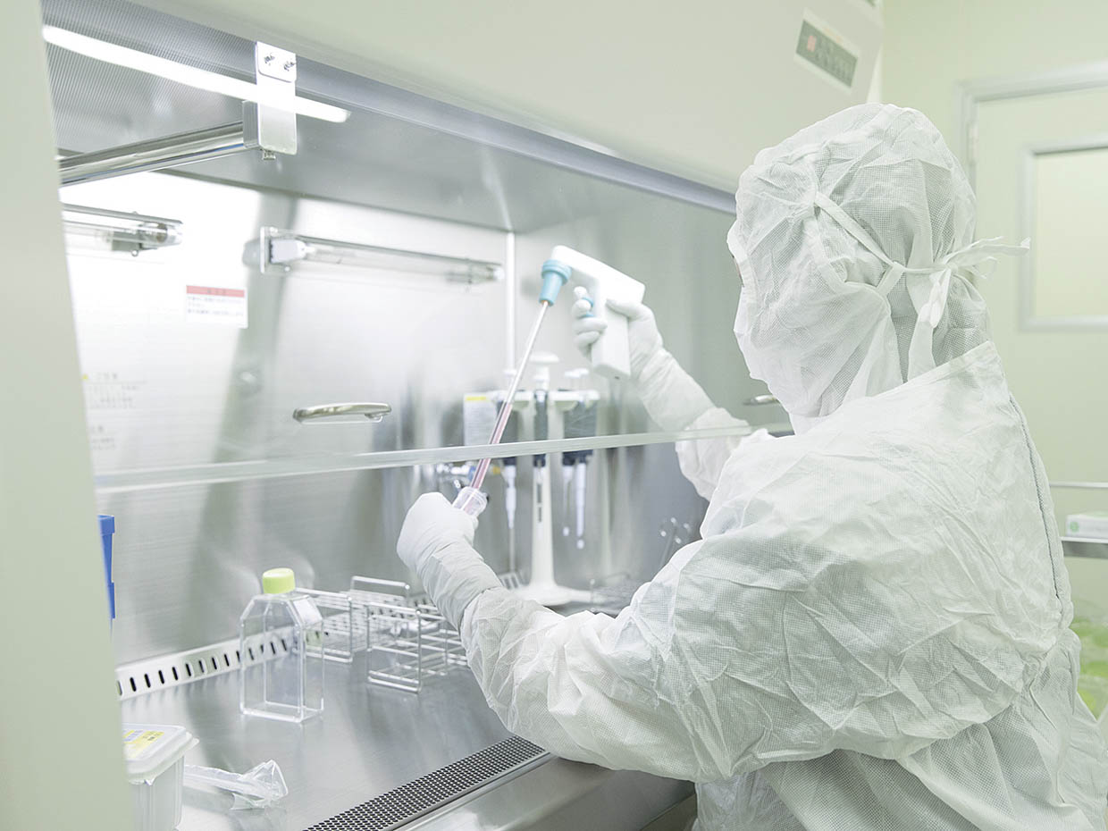 幹細胞治療で扱う検体を培養し、全国の提携医療機関へ提供する。