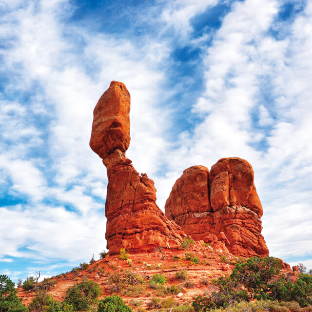 酸性か？アルカリ性か？