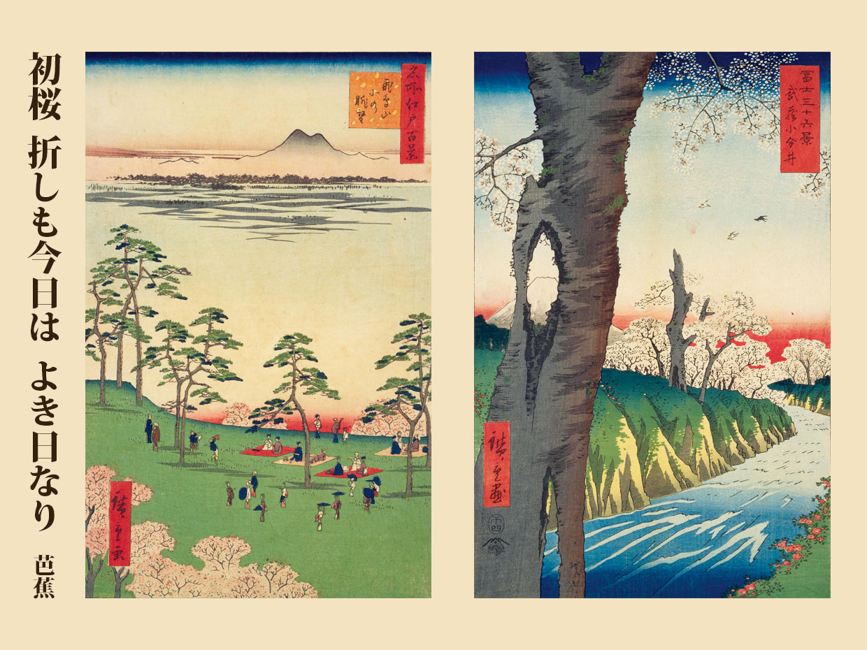 （左）広重『名所江戸百景&emsp;飛鳥山北の眺望』名所江戸百景、魚栄、安政3、国立国会図書館デジタルコレクション（右）広重『武蔵小金井』冨士三十六景、安政5、国立国会図書館デジタルコレクション