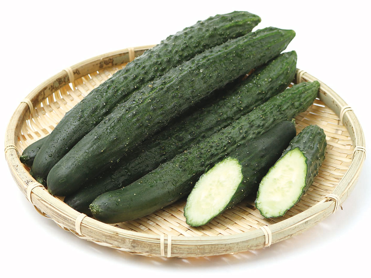 茨城県・四葉きゅうり