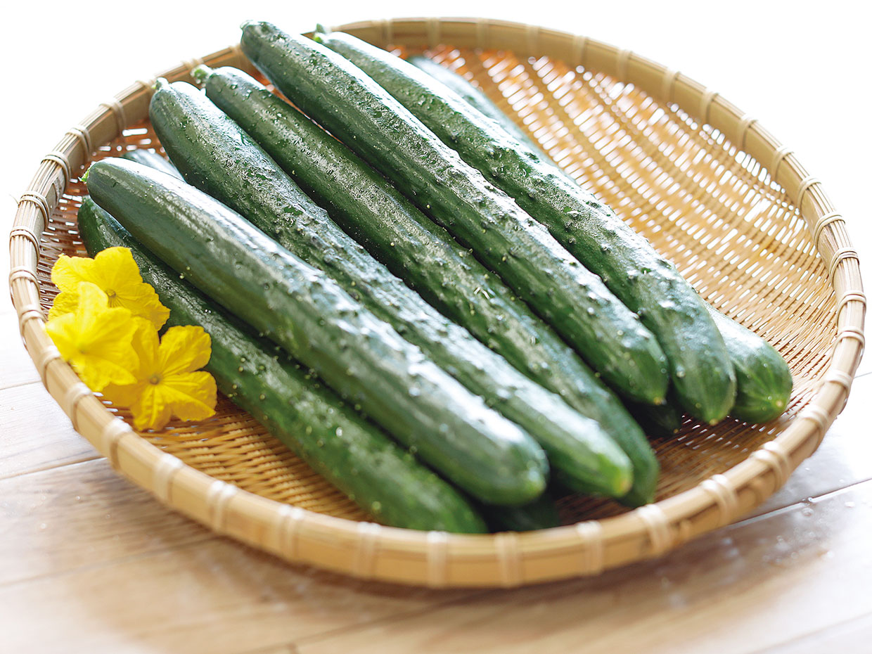 埼玉県・秩父きゅうり