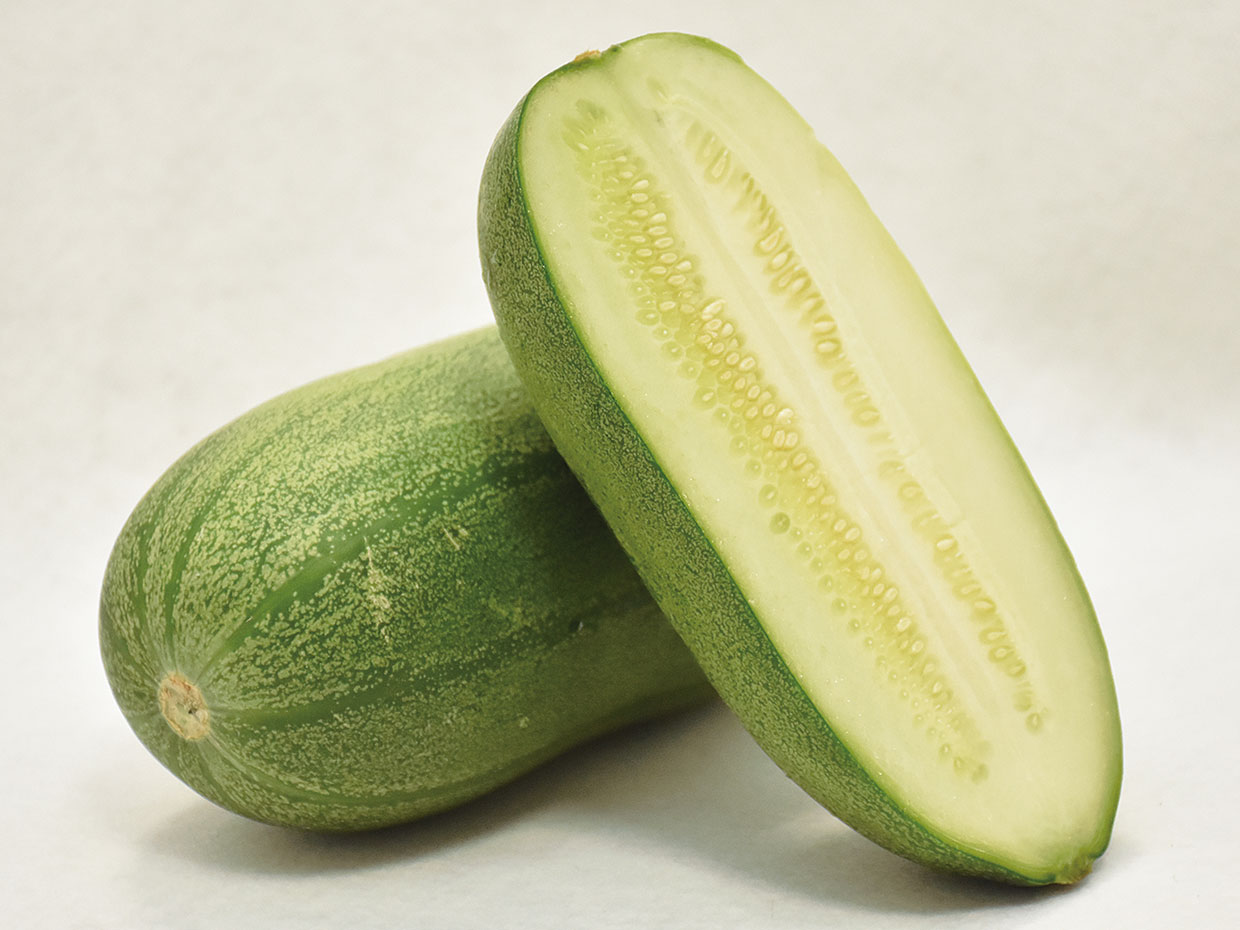 愛知県・早生かりもり