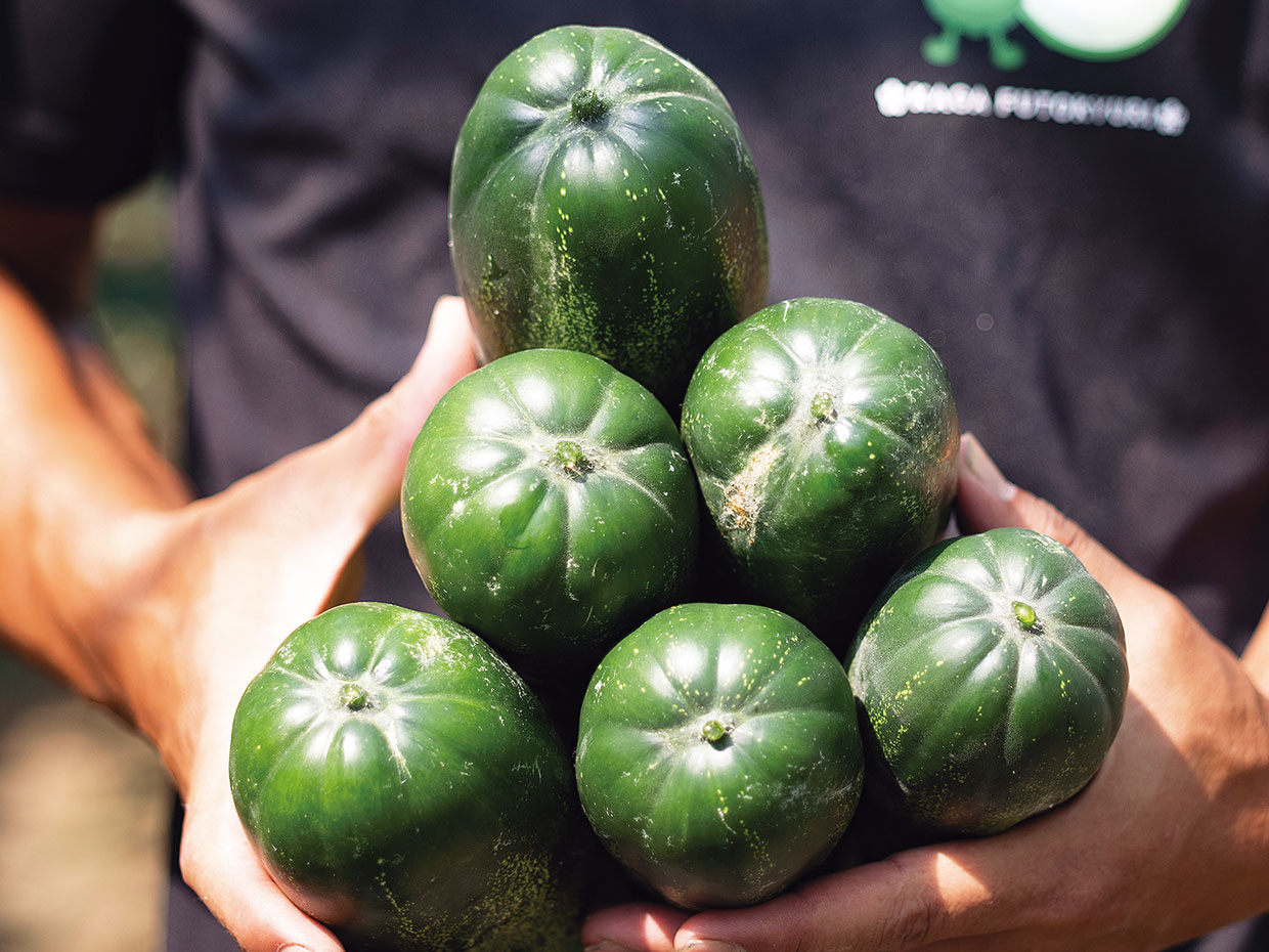 立派に育ち、両手に持つのも一苦労