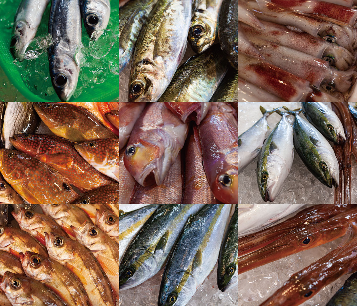 御来屋（みくりや）漁港