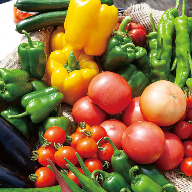 むらおかファーム