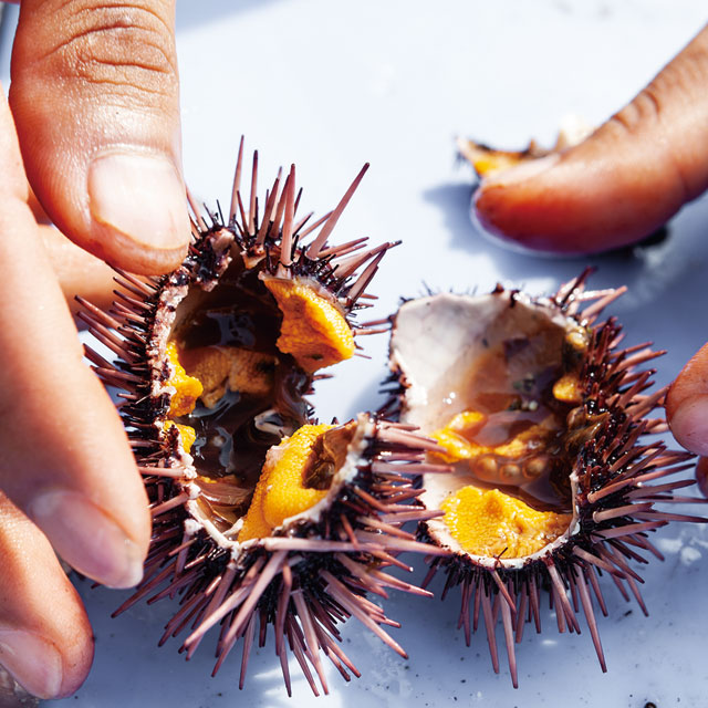 歴史ある漁港の若い力