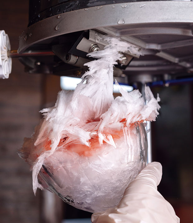 四代目大野屋氷室&emsp;かき氷