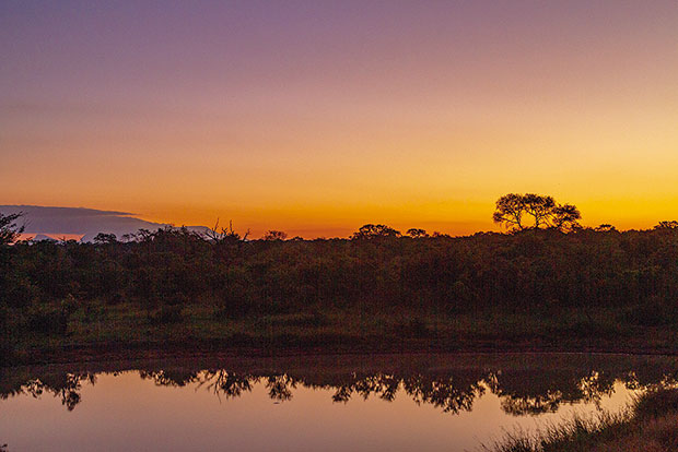 ブルートレインからの車窓