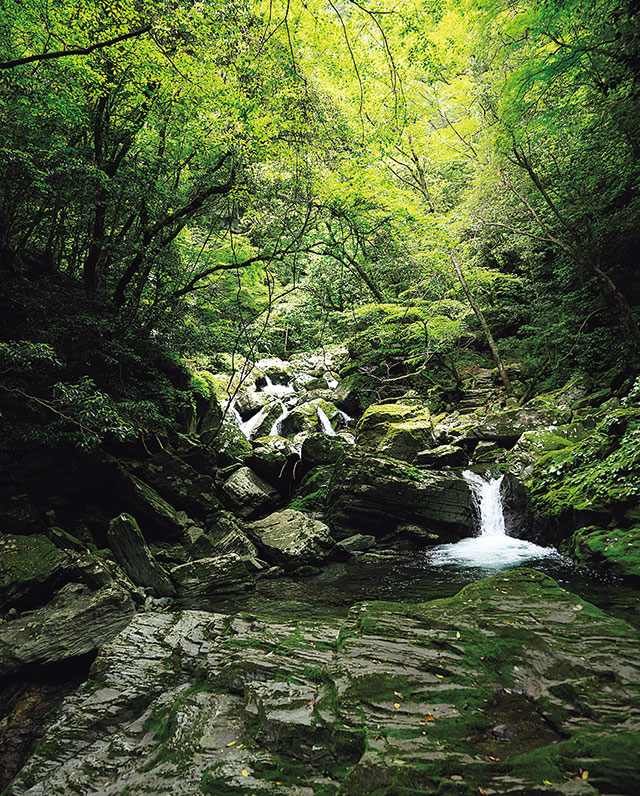 飛龍の滝まであとひと息のところにある滝