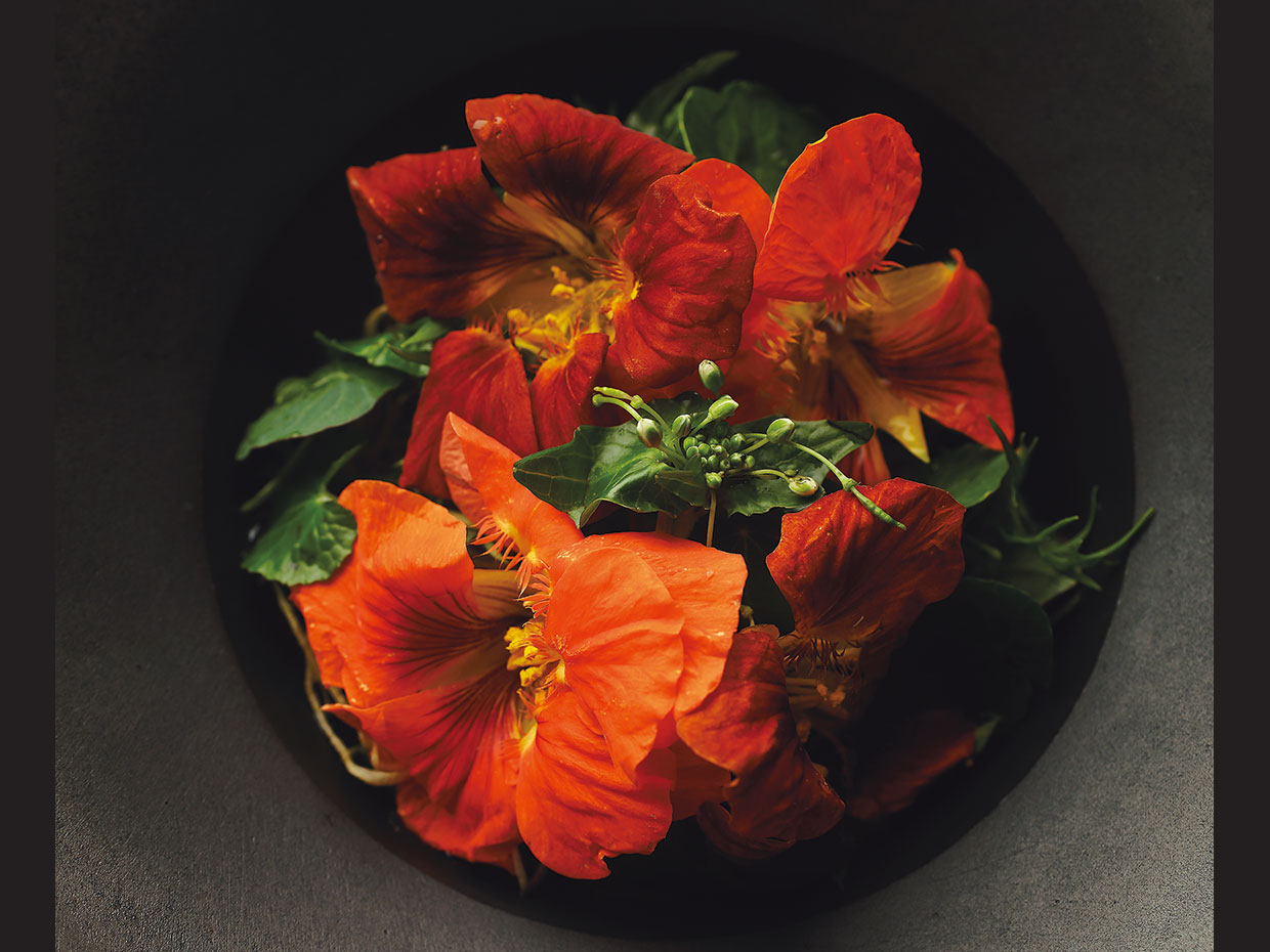 LA&ensp;CIME。オコゼのあんかけ