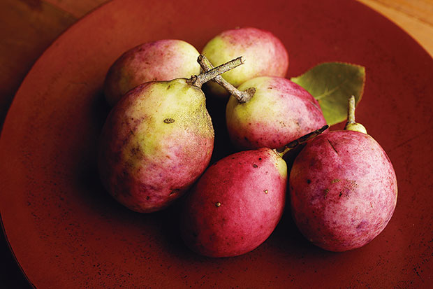 ヴィラ・デラ・パーチェ&emsp;能登の食材（ムベ）