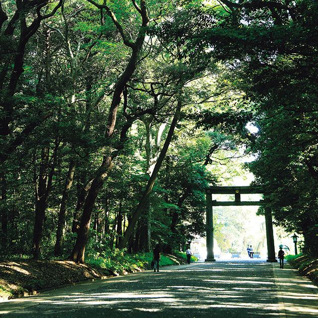 明治神宮。北参道