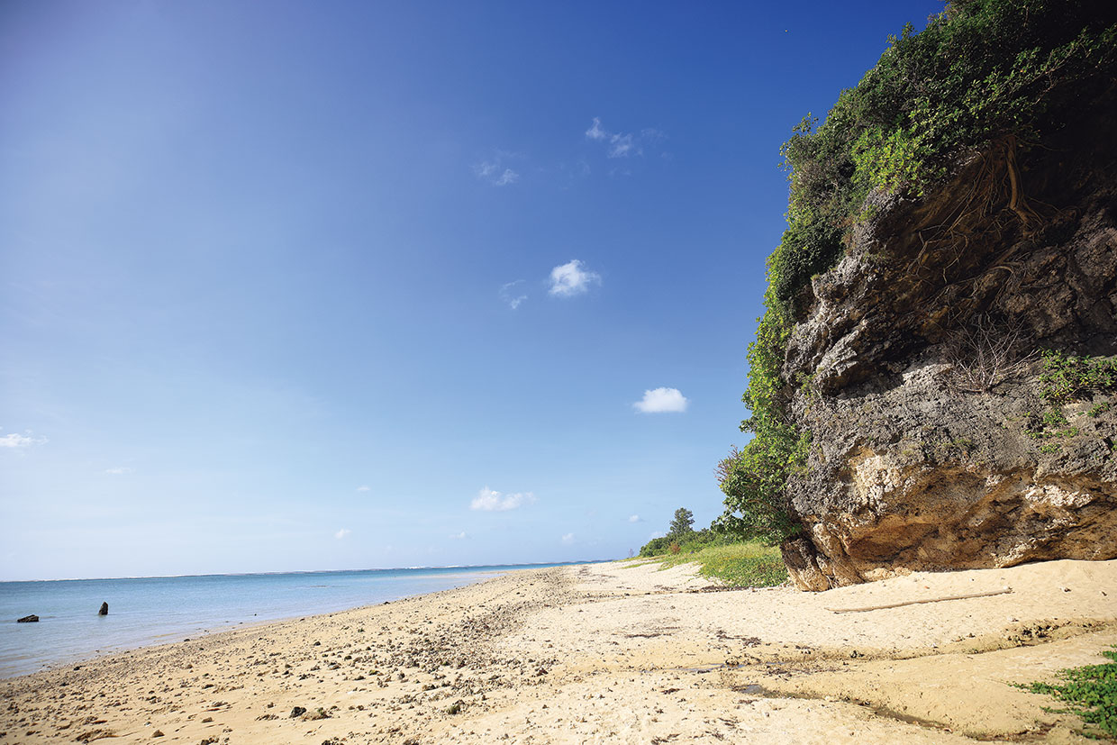 沖縄、ヤハラヅカサ