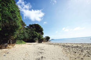 沖縄、ヤハラヅカサ