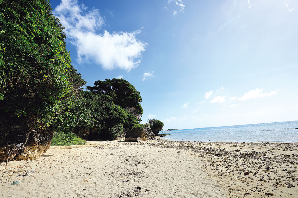 沖縄、ヤハラヅカサ