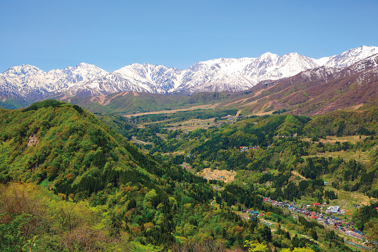 食語の心&nbsp;第117回&emsp;柏井&nbsp;壽
