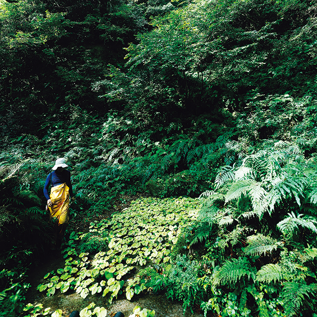 「山の鳥取」が生む食の絶品