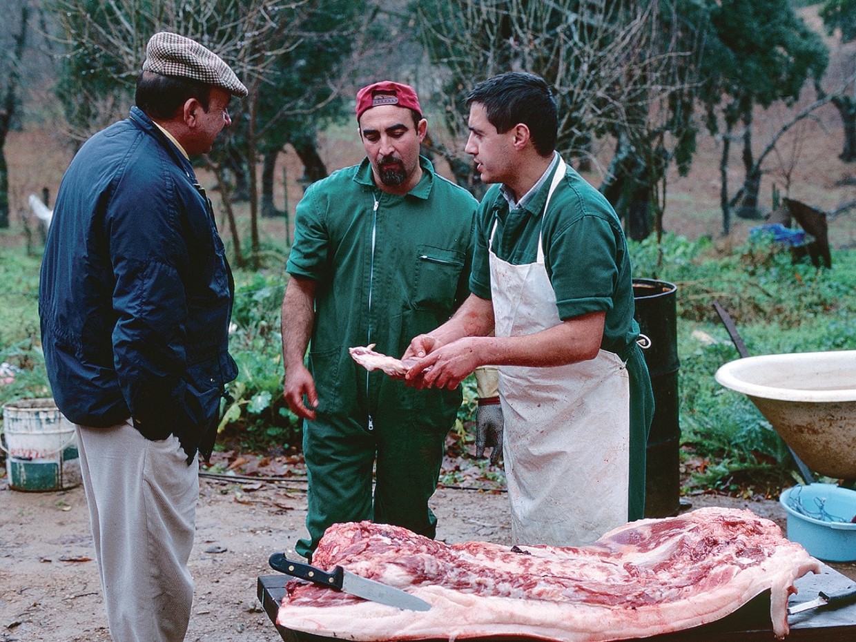 El hermoso mundo del Jamón Ibérico (2)