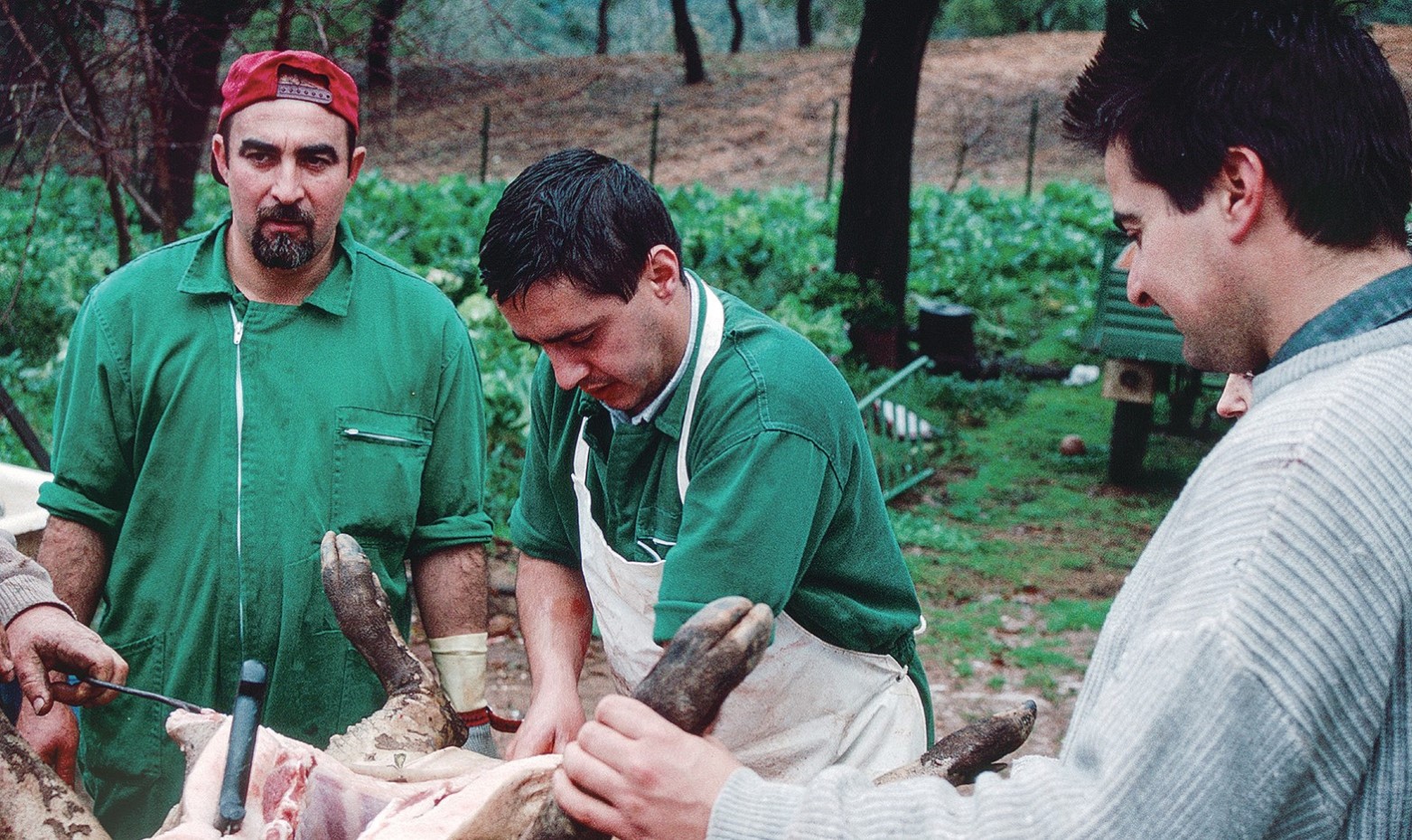El hermoso mundo del Jamón Ibérico (2)