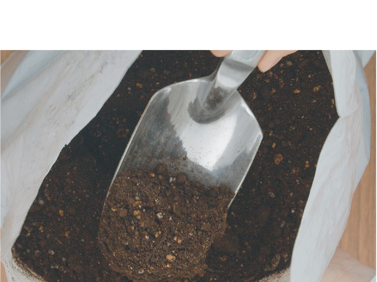 おいしいはサステナブル