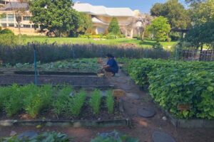 にぎわいリゾートに、白浜と庭園の隠れオアシス、デュシタニ パタヤ