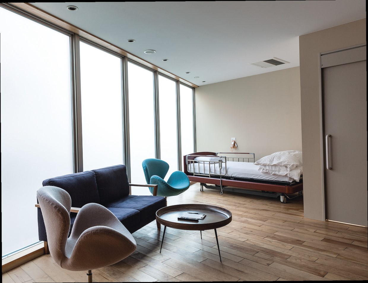 NLC 野中腰痛クリニック、椎間板の再生