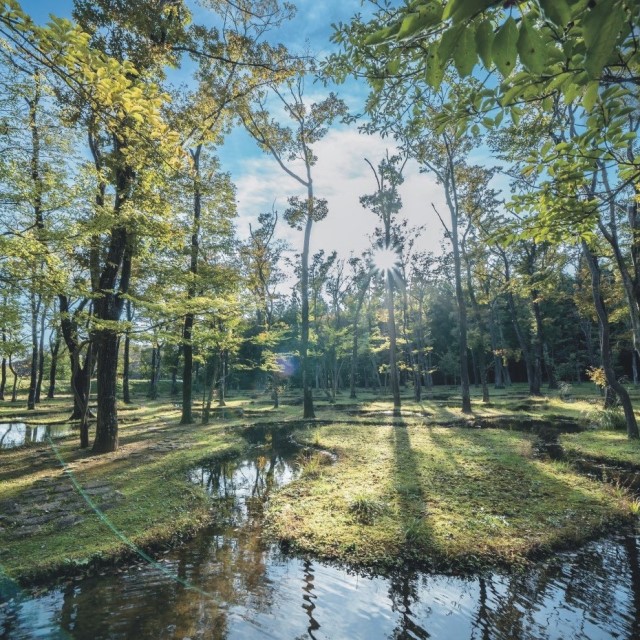ありのままの自分に還る場所
