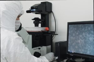 安全安心の再生医療を、ReM CLINIC