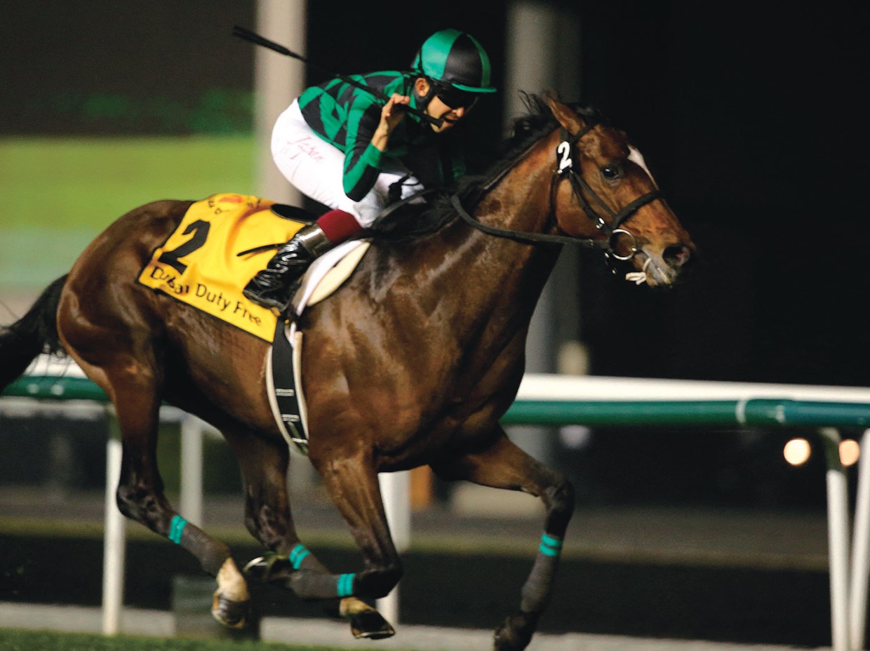 人生を懸けた趣味、JRA