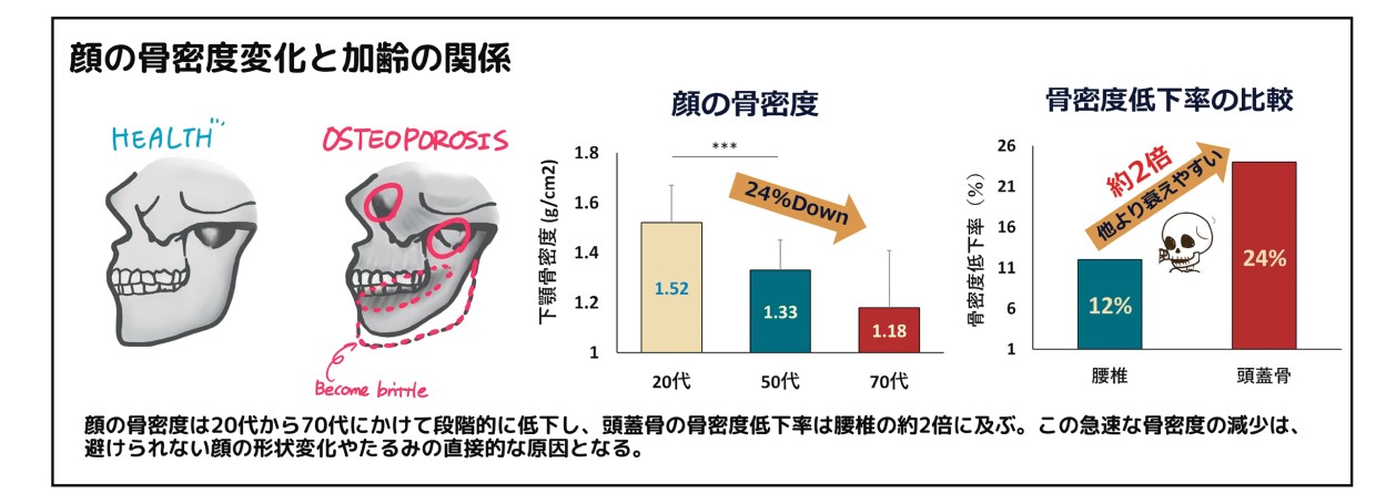 驚くべき骨の力、広島大学、黒坂志穂