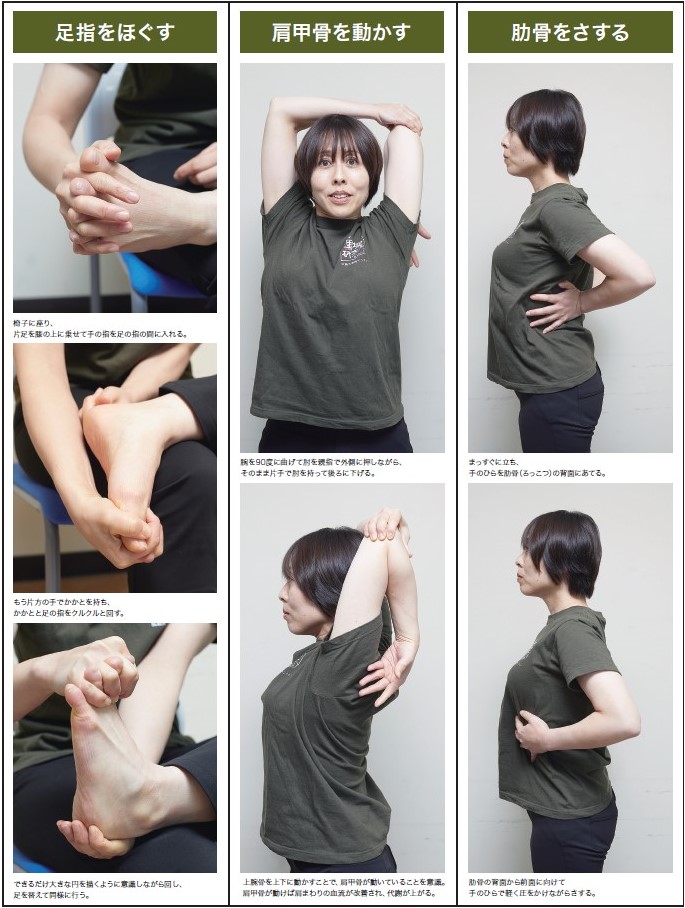 驚くべき骨の力、広島大学、黒坂志穂