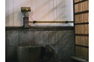 吟醸酒のふるさと・西条の酒蔵、西条市、酒蔵、広島特集