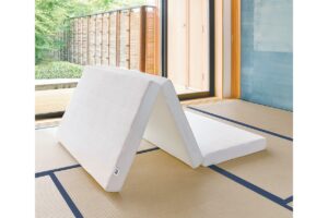 魅力あふれるaiboのふるさと、愛知県幸田町