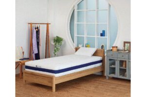 魅力あふれるaiboのふるさと、愛知県幸田町