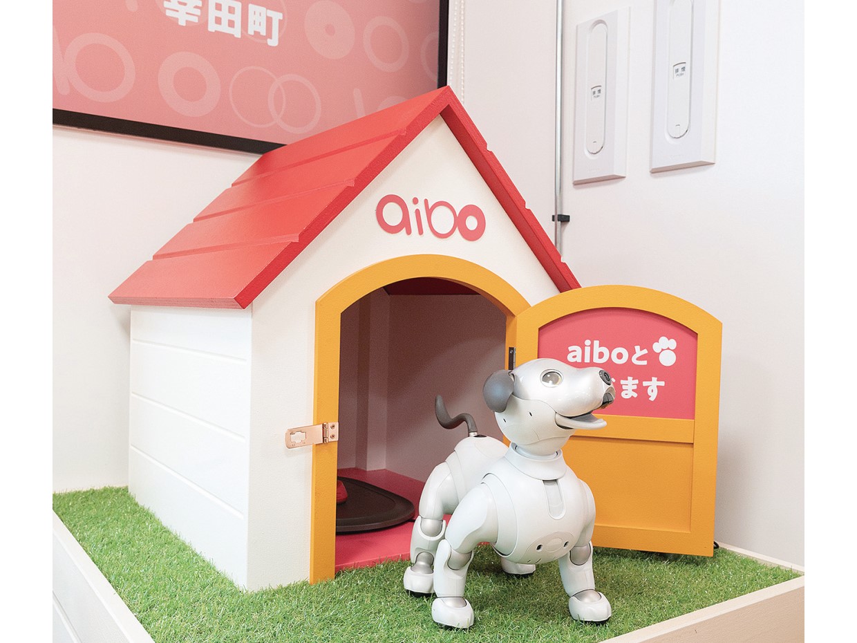 魅力あふれるaiboのふるさと、愛知県幸田町