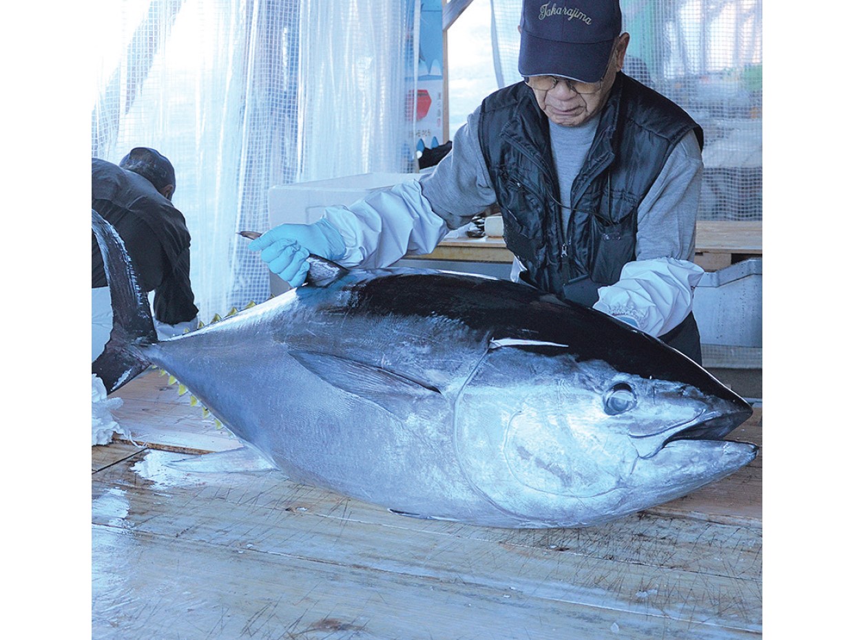 唯一無二 アジフライの聖地、長崎県松浦市
