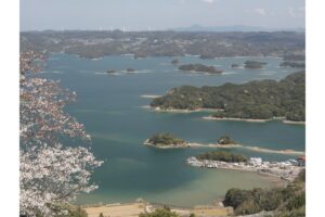 唯一無二 アジフライの聖地、長崎県松浦市