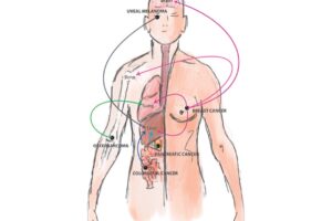 細胞間のコミュニケーションを担うエクソソーム、星野歩子