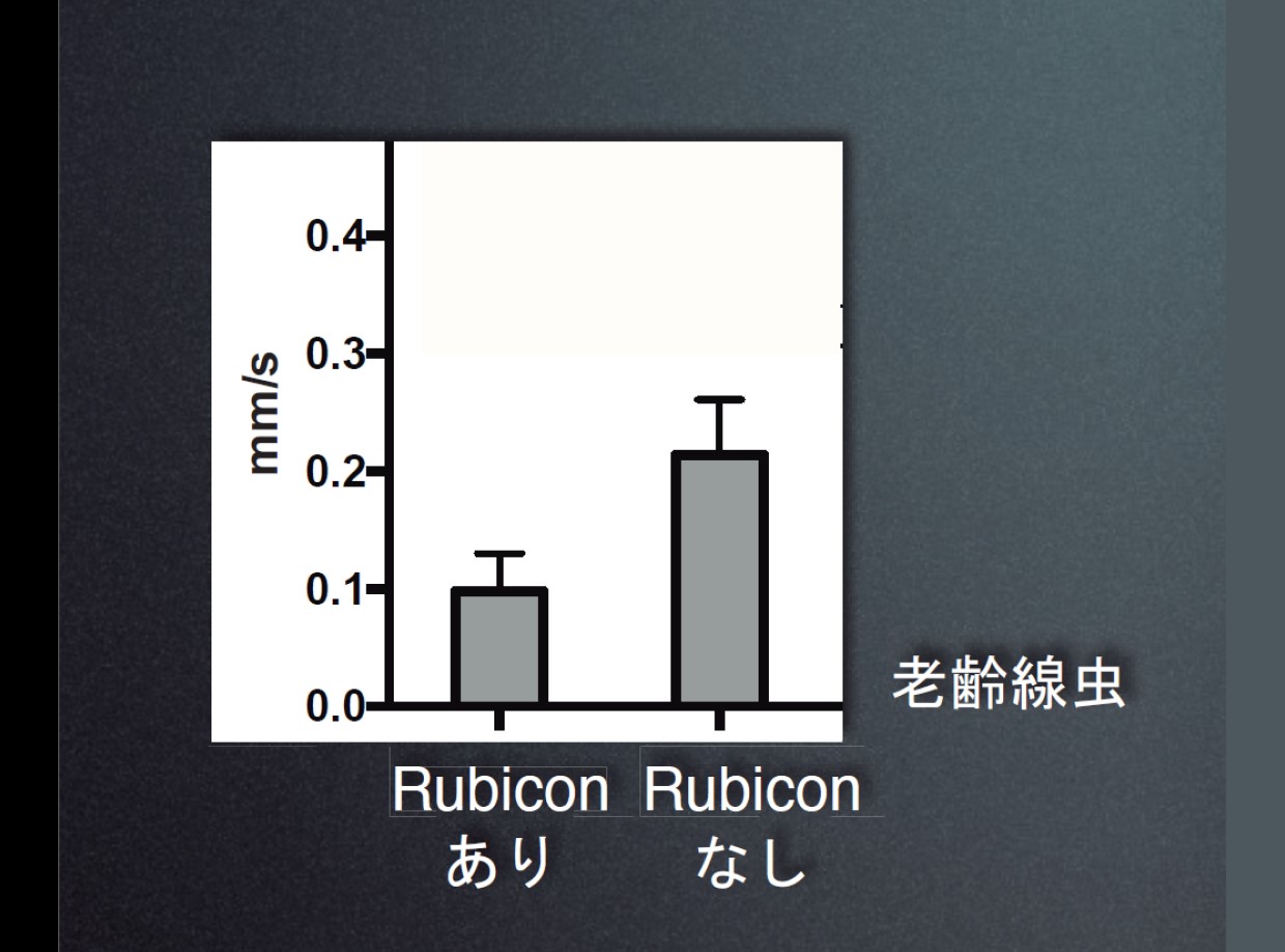 細胞の健康維持に欠かせないオートファジー、吉森保