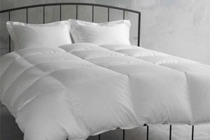 豊かな自然が育むものづくり