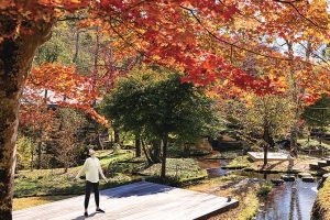 日本文化と歴史を味わう旅