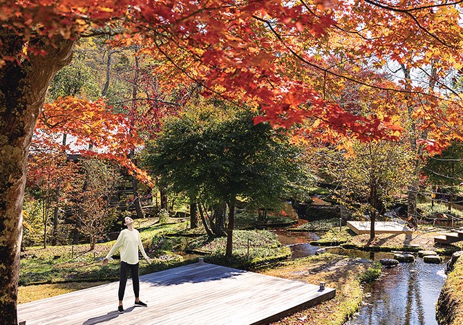 日本文化と歴史を味わう旅