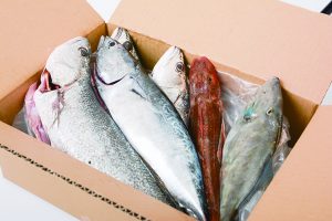 宇宙に一番近いまち