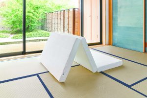 愛にあふれたaiboのまち