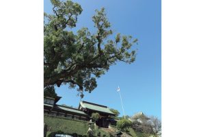 長崎喜遊曲 豊饒と冒険とそして女たち、永遠の国際都市 長崎