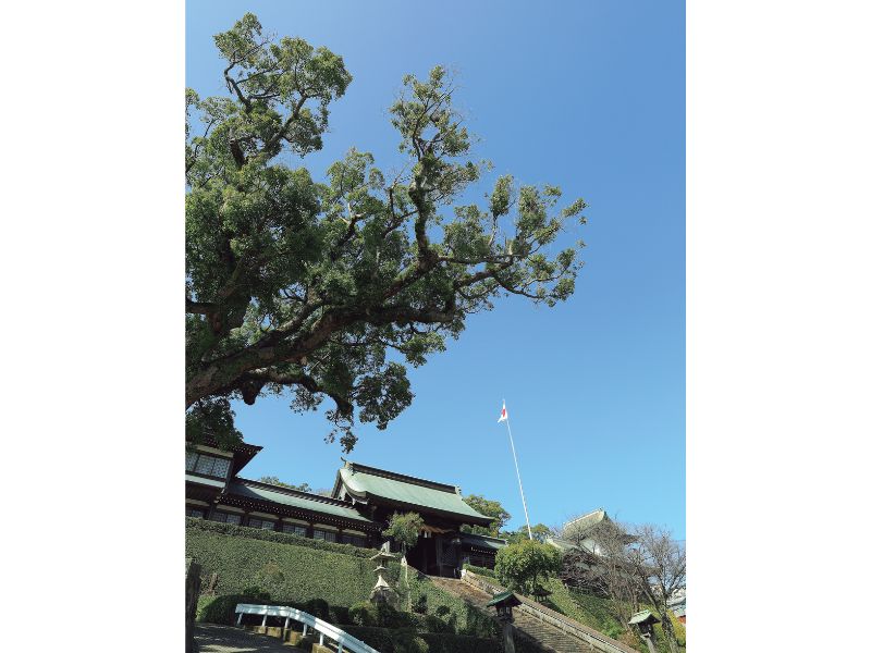 長崎喜遊曲 豊饒と冒険とそして女たち、永遠の国際都市 長崎