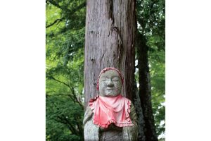 東北緑色革命情報都市「平泉」