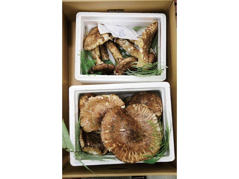 時今浪花賑活気あふれる天下の台所