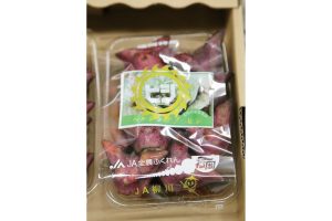 時今浪花賑活気あふれる天下の台所