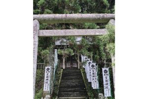 雪代水が育むカキ 宮城・気仙沼